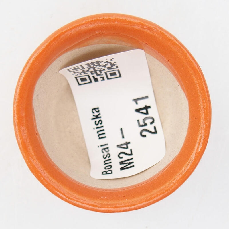 Mini bol bonsaï 4 x 4 x 2,5 cm, orange