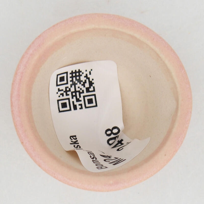 Mini bol bonsaï 4 x 4 x 2,5 cm, rose