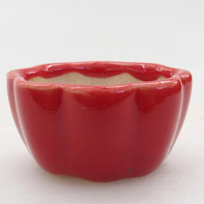 Mini bol bonsaï 4 x 4 x 2 cm, couleur rouge