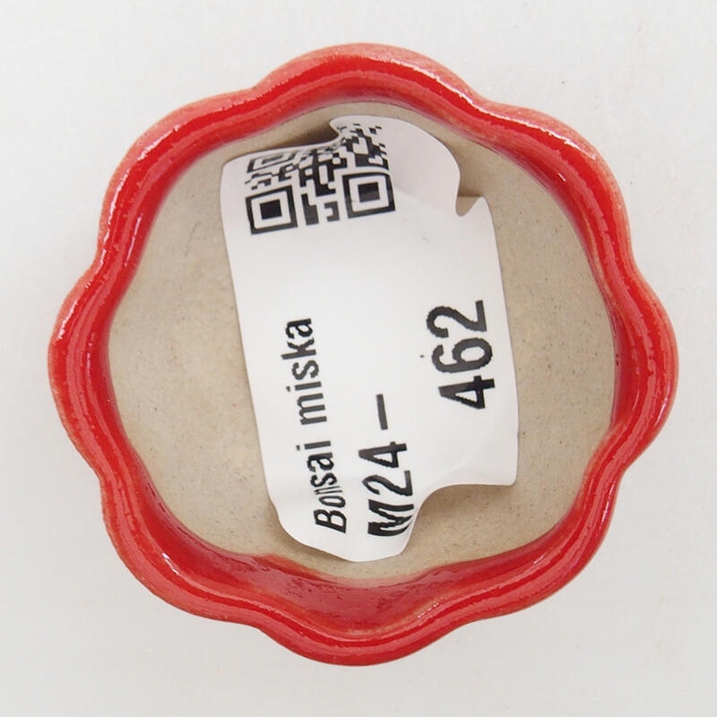 Mini bol bonsaï 4 x 4 x 2 cm, couleur rouge
