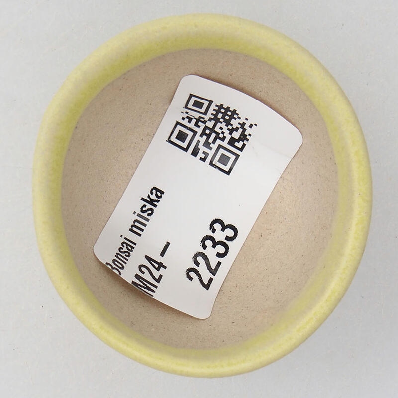 Mini bol bonsaï 4 x 4 x 2 cm, jaune