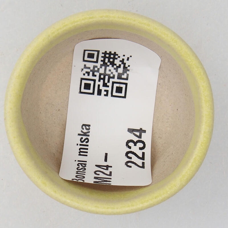 Mini bol bonsaï 4 x 4 x 2 cm, jaune