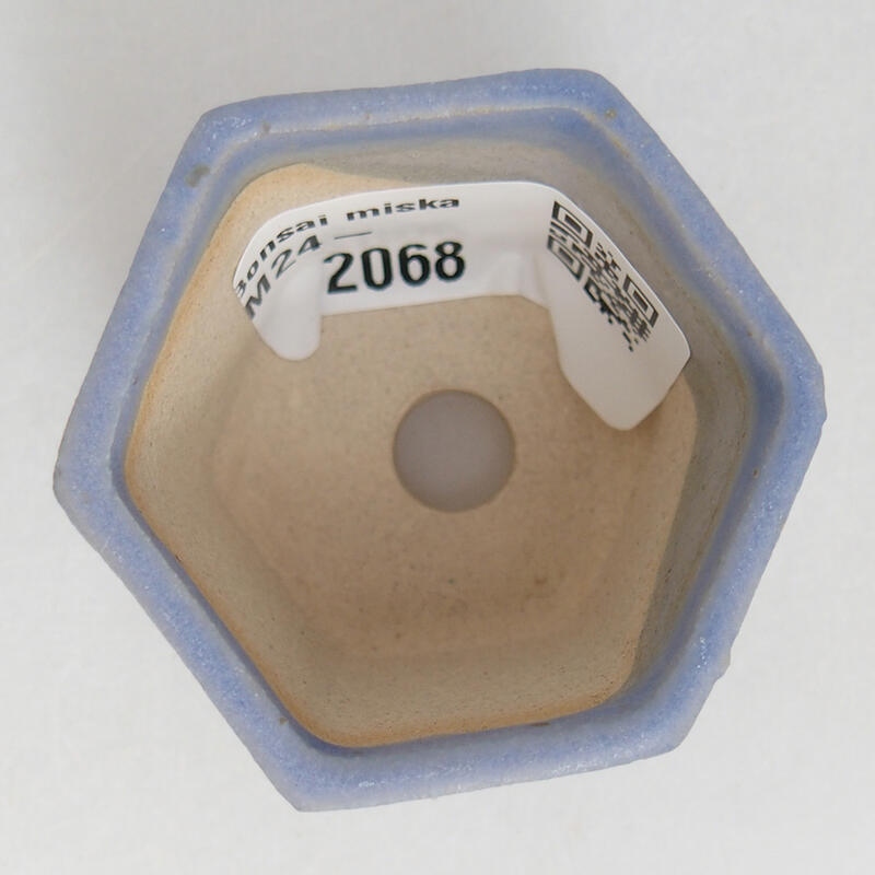 Mini bol bonsaï 4 x 4 x 3,5 cm, couleur bleu