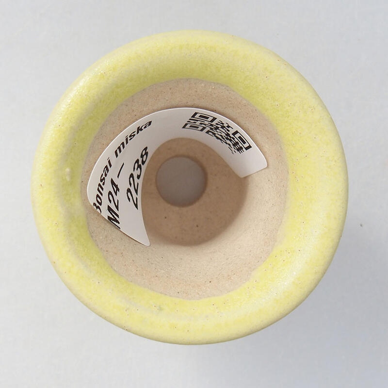 Mini bol bonsaï 4 x 4 x 3,5 cm, jaune