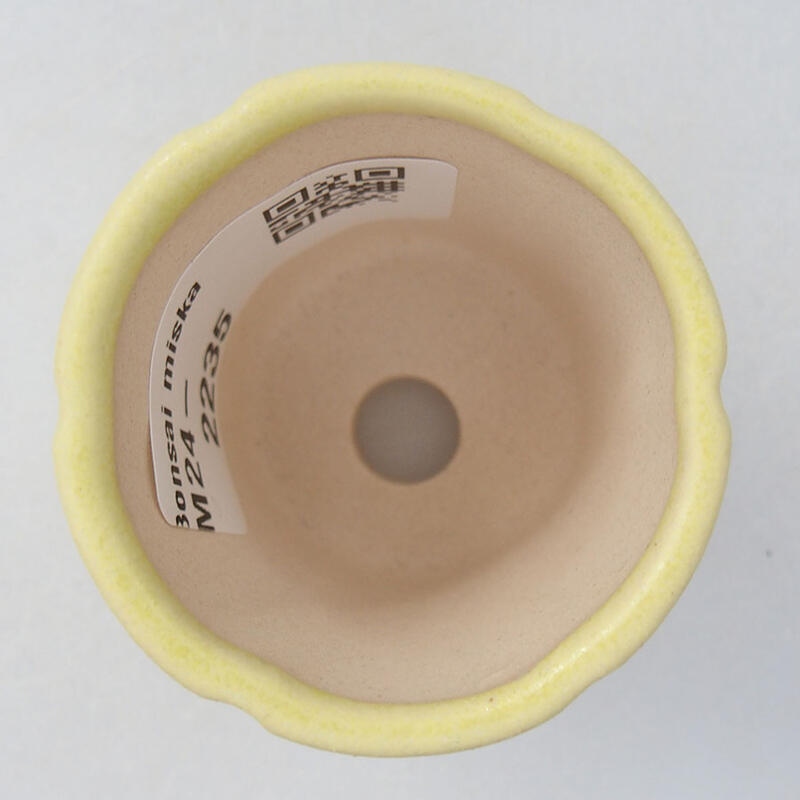 Mini bol bonsaï 4 x 4 x 4 cm, jaune