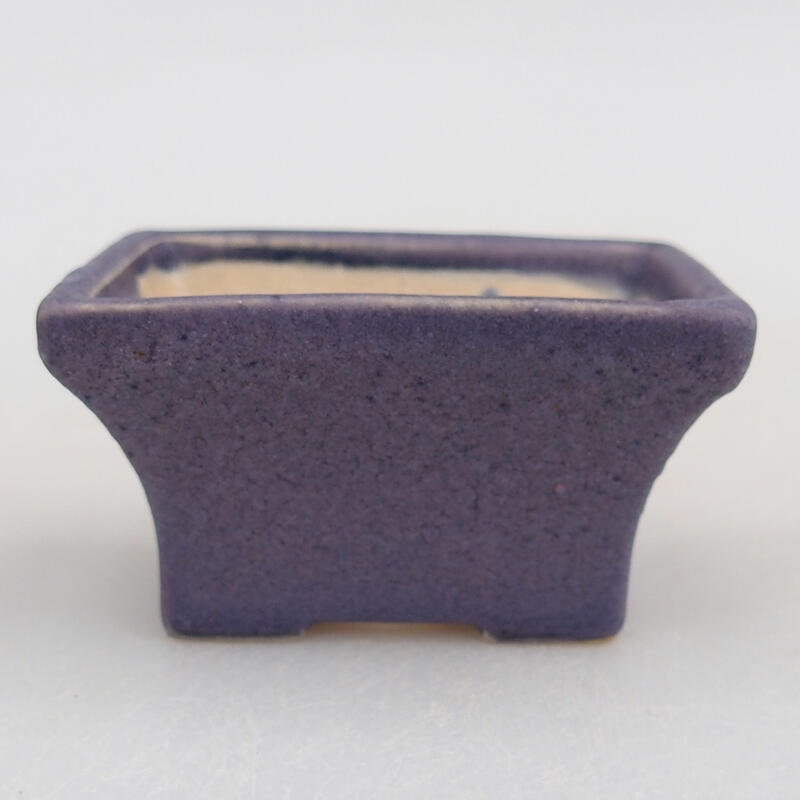 Mini bol bonsaï 5,5 x 3,5 x 3 cm, couleur violet