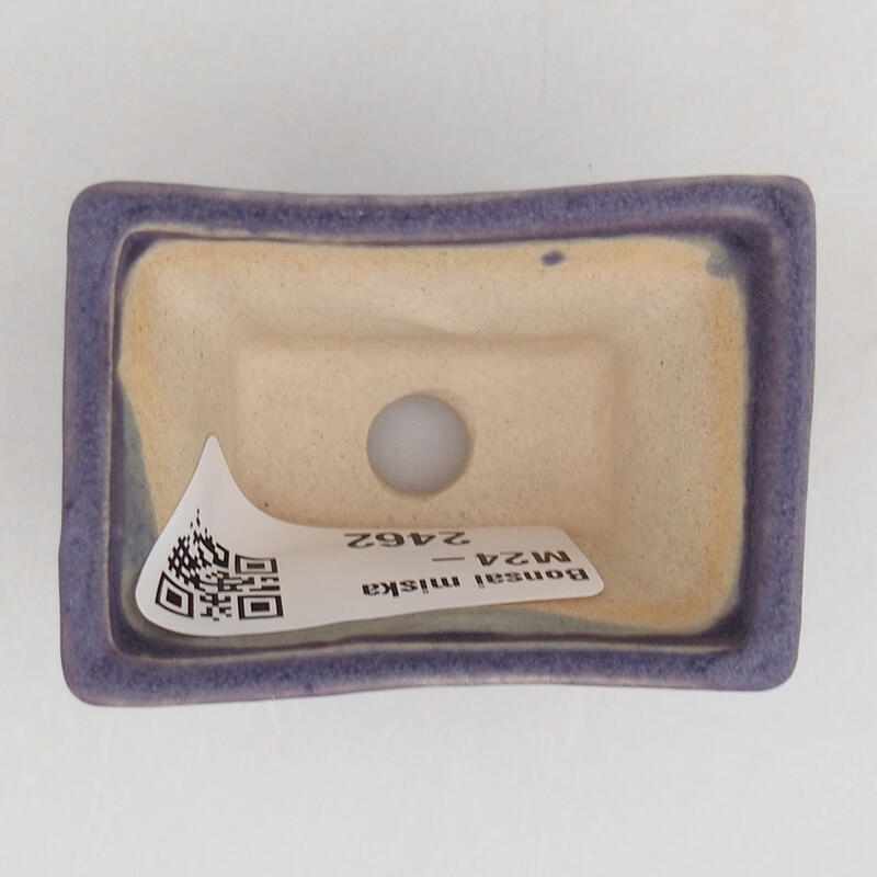 Mini bol bonsaï 5,5 x 3,5 x 3 cm, couleur violet