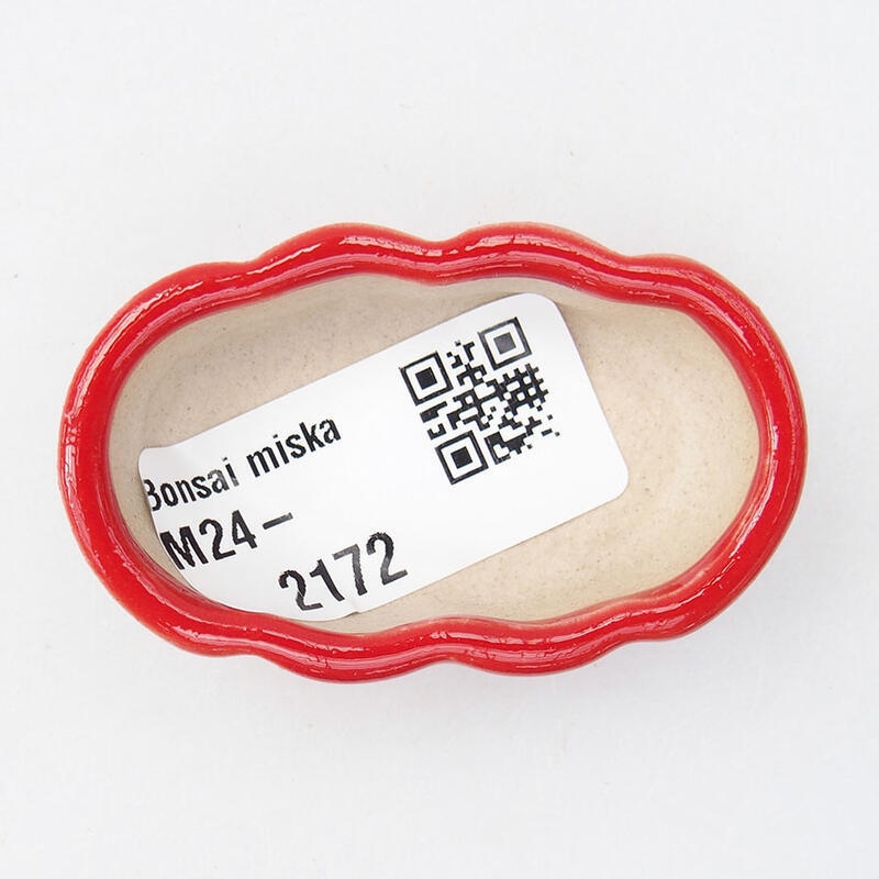 Mini bol bonsaï 5,5 x 3 x 2 cm, couleur rouge