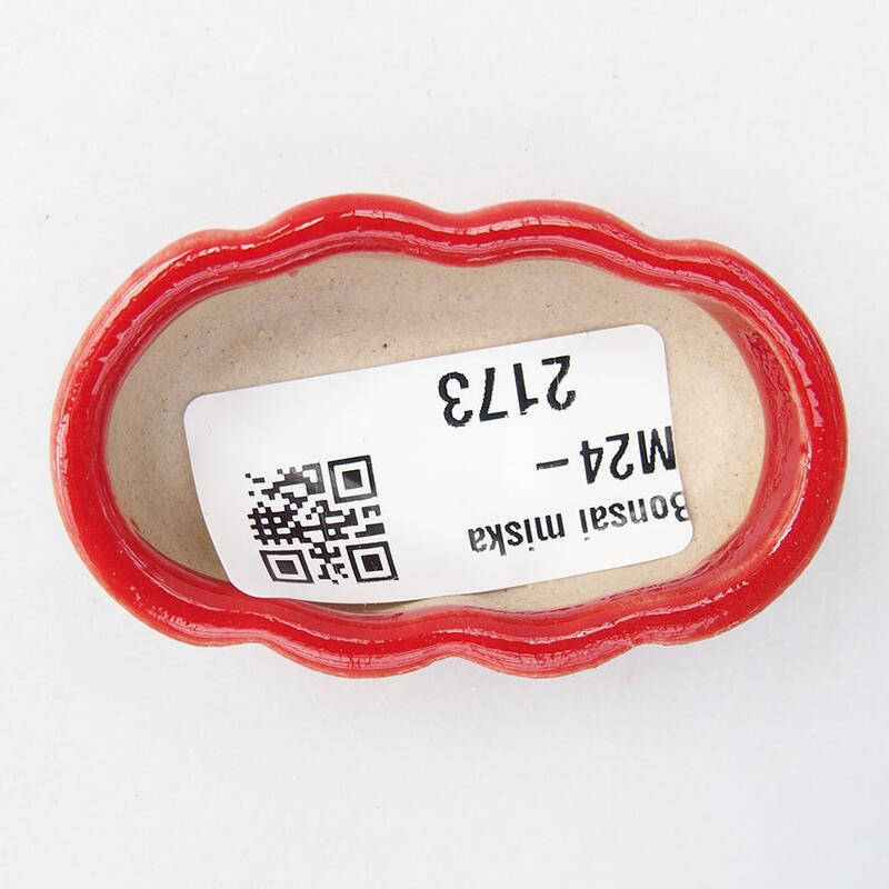 Mini bol bonsaï 5,5 x 3 x 2 cm, couleur rouge