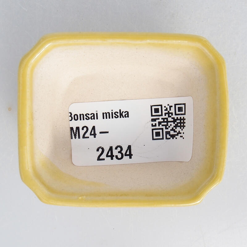 Mini bol bonsaï 5,5 x 4,5 x 2 cm, jaune