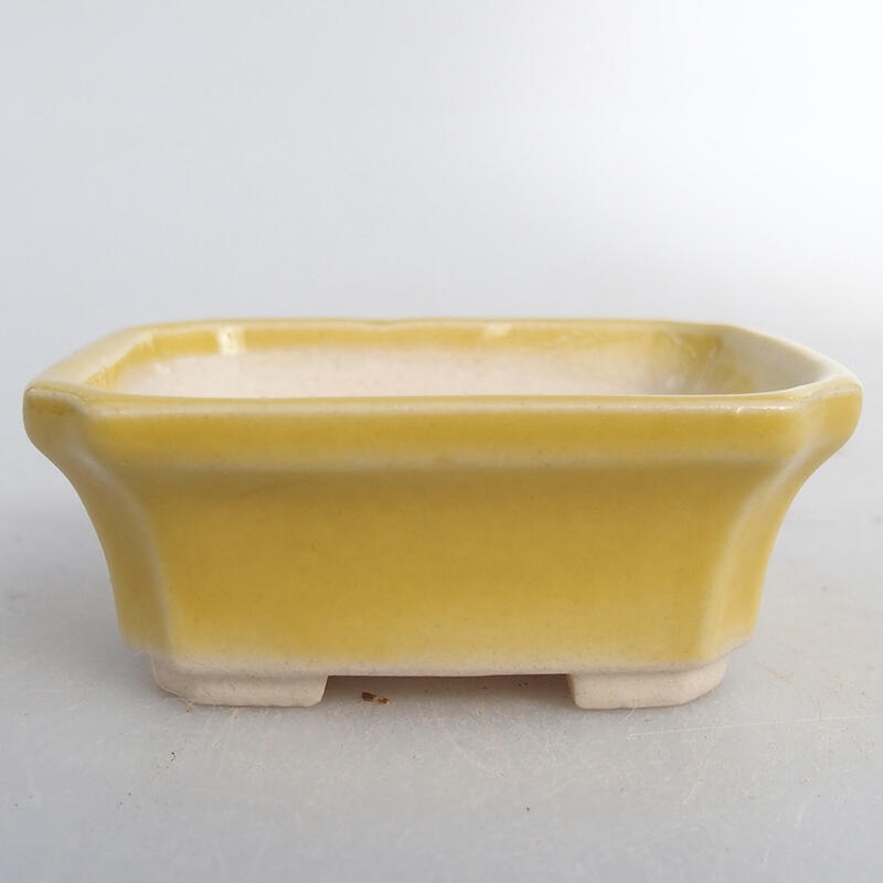 Mini bol bonsaï 5,5 x 4,5 x 2 cm, jaune