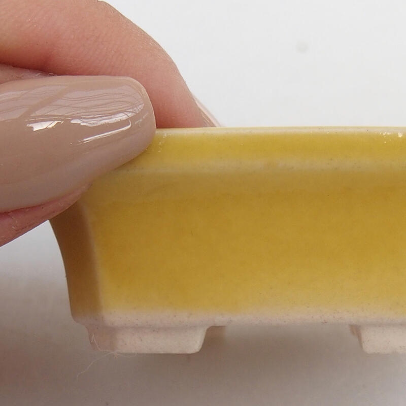 Mini bol bonsaï 5,5 x 4,5 x 2 cm, jaune