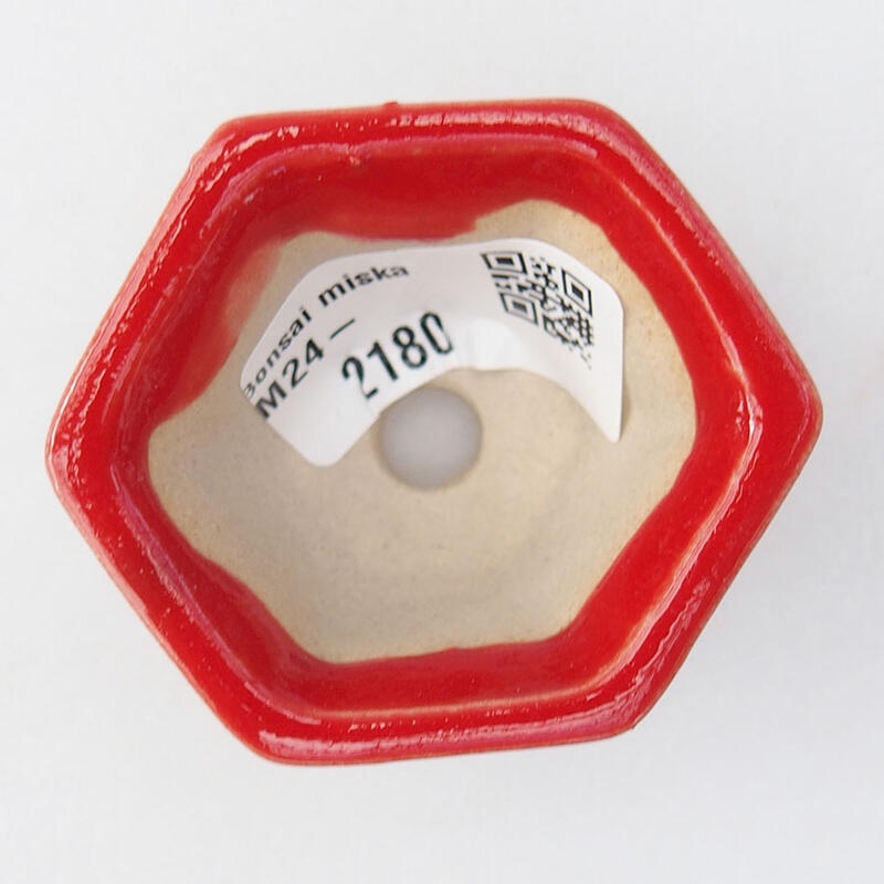 Mini bol bonsaï 5,5 x 4,5 x 3 cm, couleur rouge