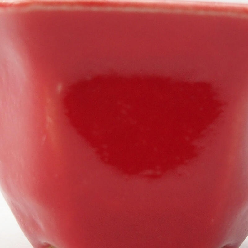 Mini bol bonsaï 5,5 x 4,5 x 3 cm, couleur rouge