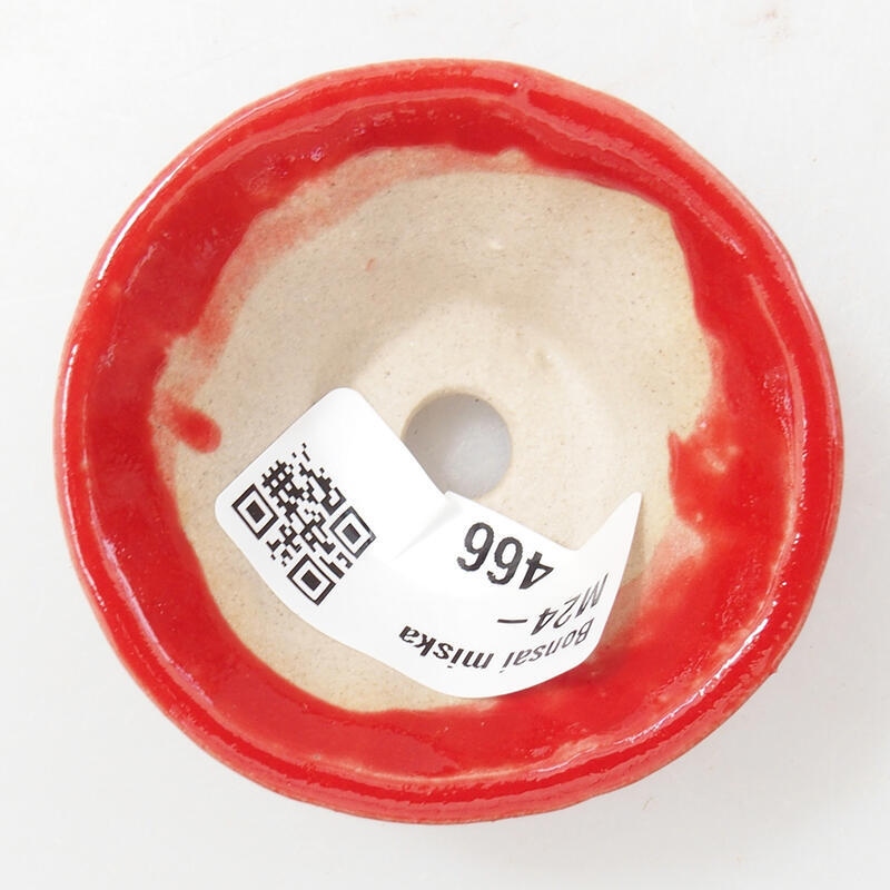 Mini bol bonsaï 5,5 x 5,5 x 2,5 cm, couleur rouge