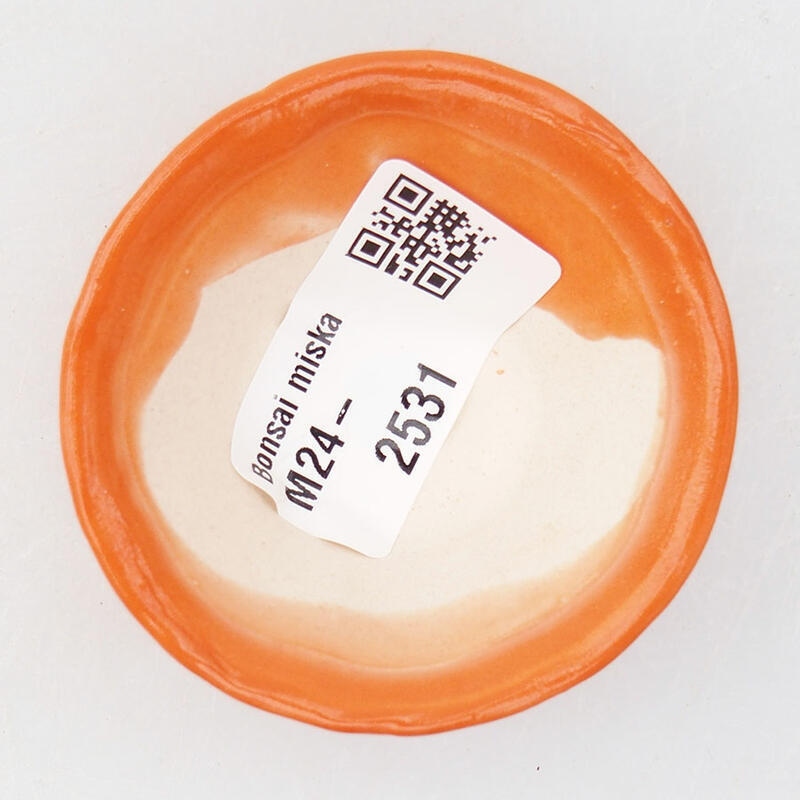 Mini bol bonsaï 5,5 x 5,5 x 2,5 cm, orange