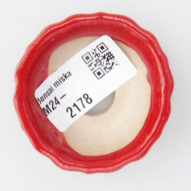 Mini bol bonsaï 5,5 x 5,5 x 2 cm, couleur rouge