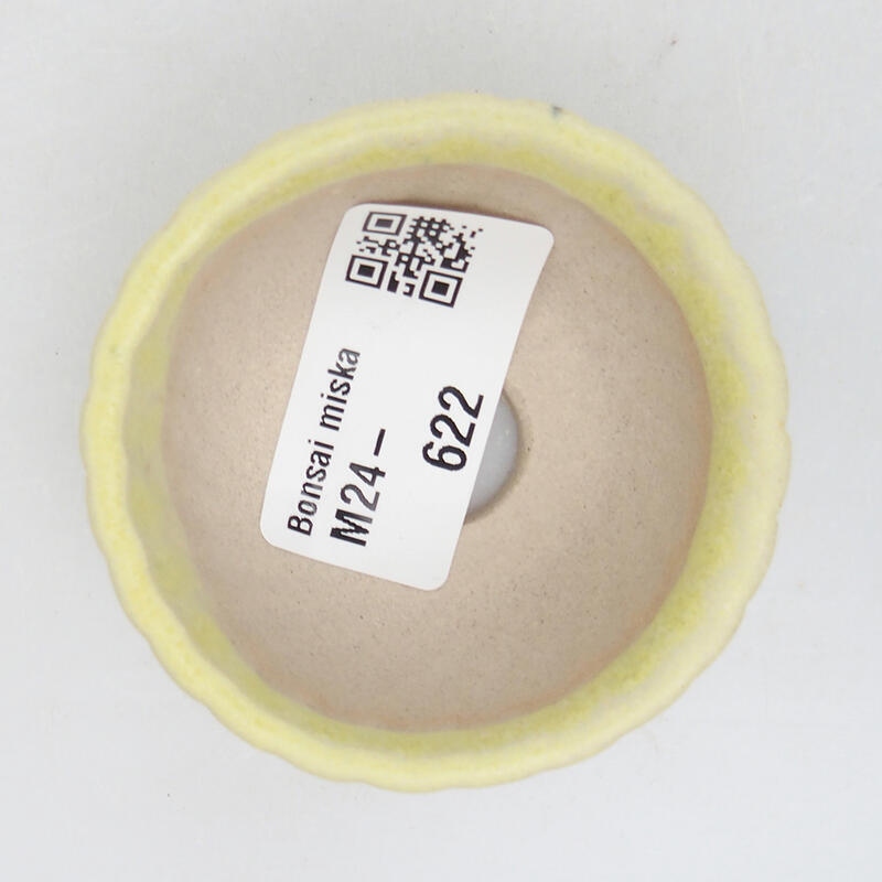 Mini bol bonsaï 5,5 x 5,5 x 3 cm, vert