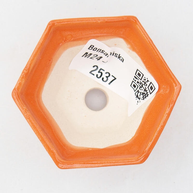 Mini bol bonsaï 5,5 x 5 x 3 cm, orange