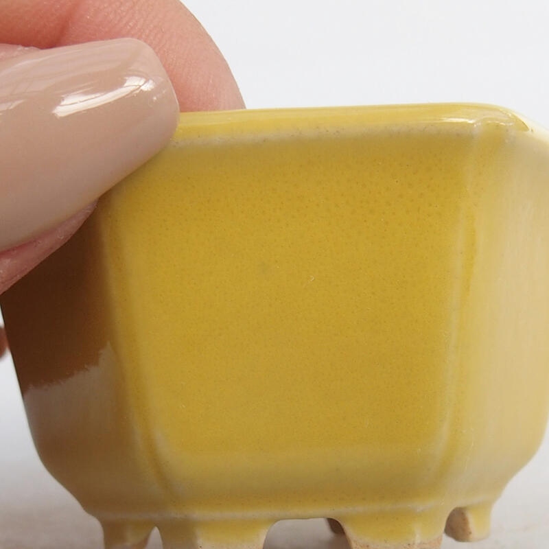 Mini bol bonsaï 5,5 x 5 x 3 cm, jaune