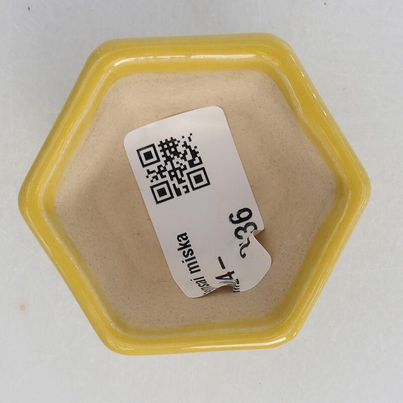 Mini bol bonsaï 5,5 x 5 x 3 cm, jaune
