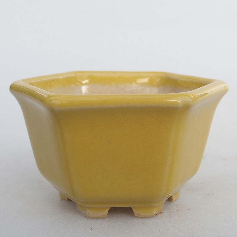 Mini bol bonsaï 5,5 x 5 x 3 cm, jaune