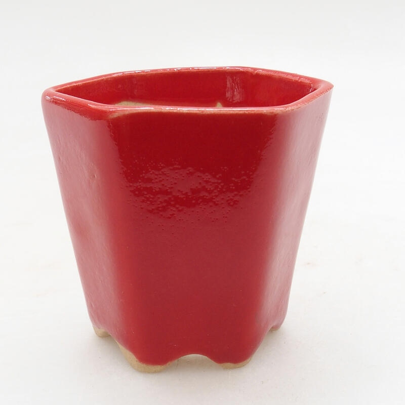 Mini bol bonsaï 5,5 x 5 x 5 cm, couleur rouge