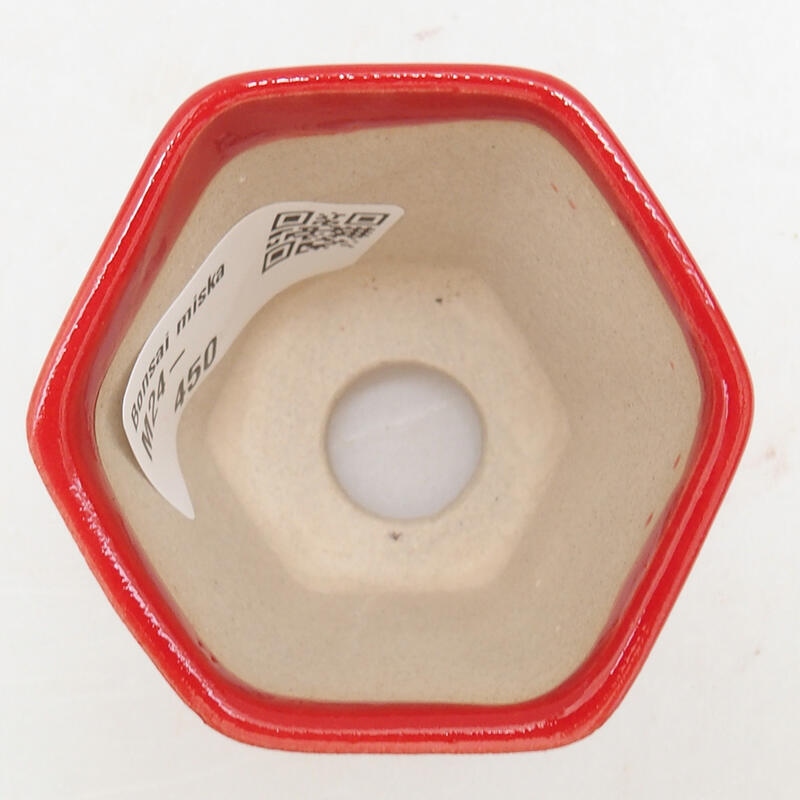Mini bol bonsaï 5,5 x 5 x 5 cm, couleur rouge