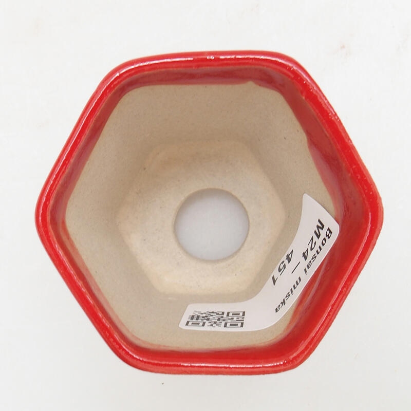 Mini bol bonsaï 5,5 x 5 x 5 cm, couleur rouge