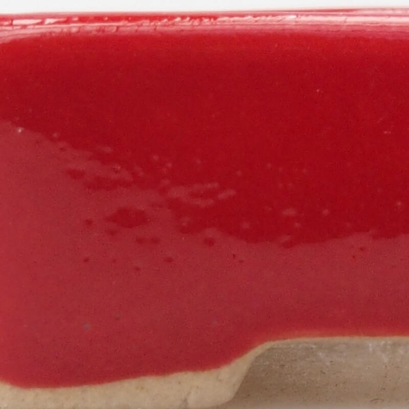 Mini bol bonsaï 5 x 3 x 1,5 cm, couleur rouge