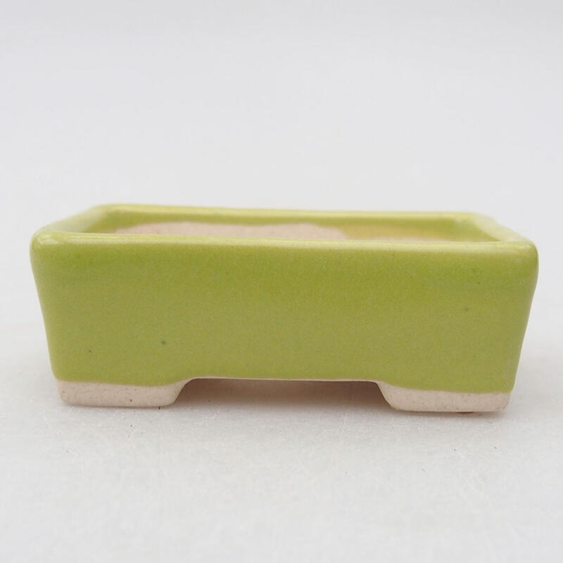 Mini bol bonsaï 5 x 3 x 1,5 cm, vert