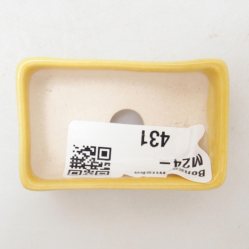 Mini bol bonsaï 5 x 3 x 2 cm, jaune