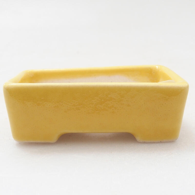 Mini bol bonsaï 5 x 3 x 2 cm, jaune