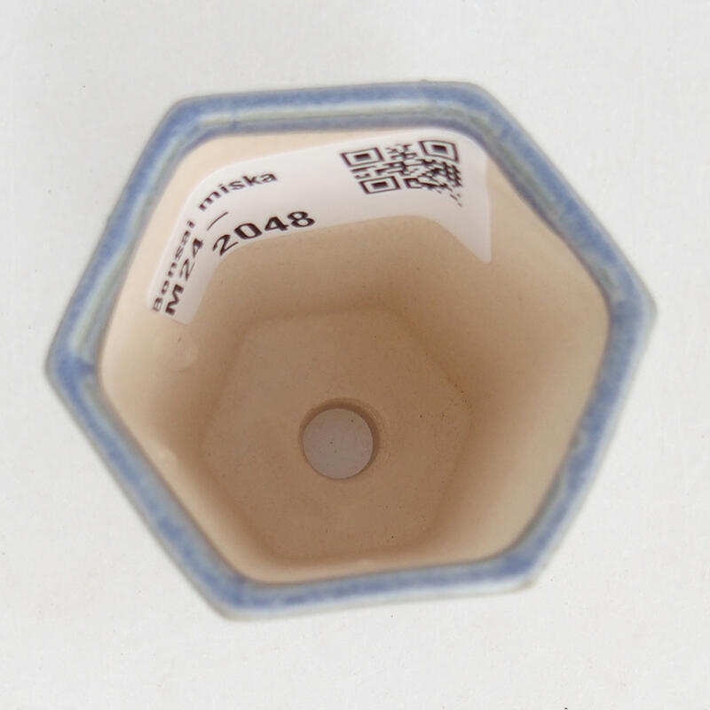 Mini bol bonsaï 5 x 4,5 x 6,5 cm, couleur bleu