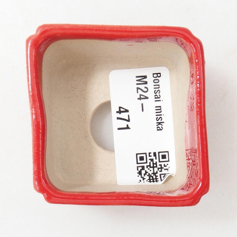 Mini bol bonsaï 5 x 5 x 3,5 cm, couleur rouge