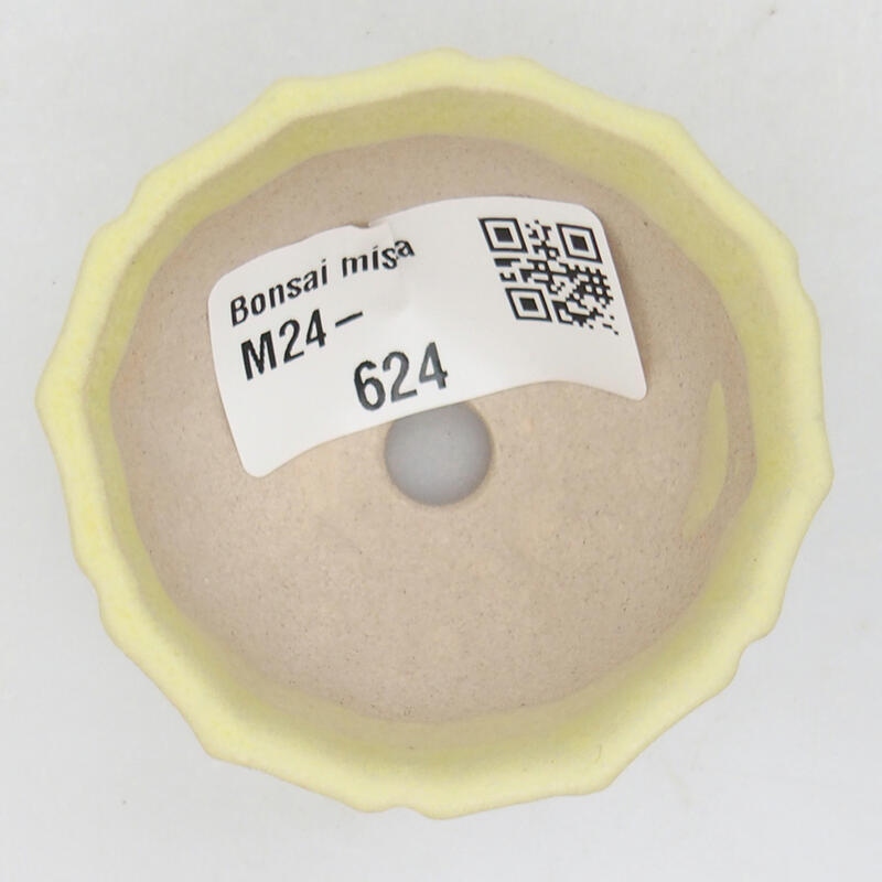 Mini bol bonsaï 5 x 5 x 3,5 cm, vert