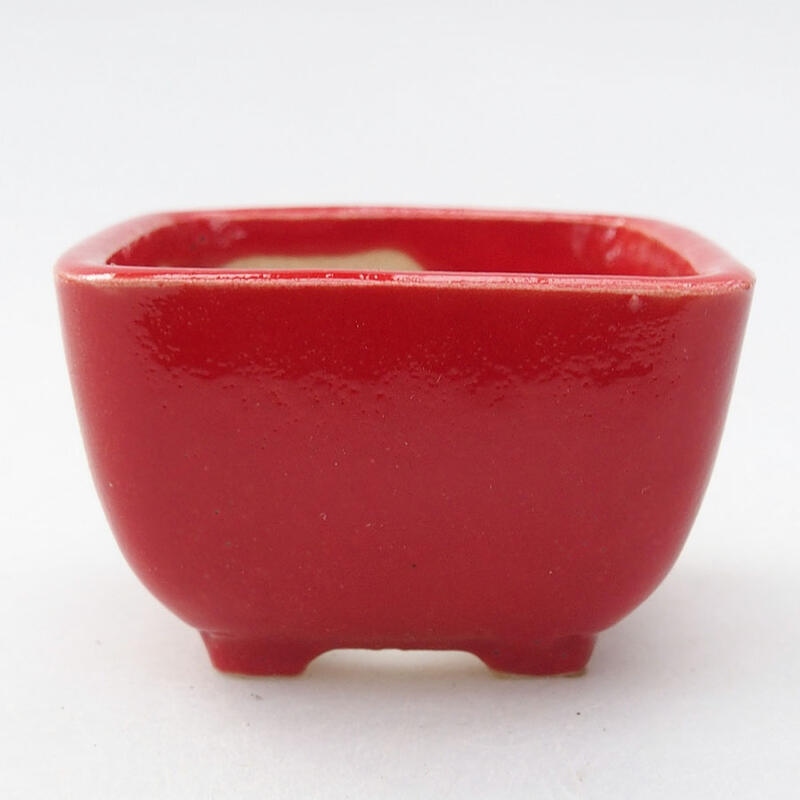 Mini bol bonsaï 5 x 5 x 3 cm, couleur rouge