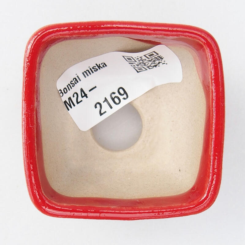 Mini bol bonsaï 5 x 5 x 3 cm, couleur rouge