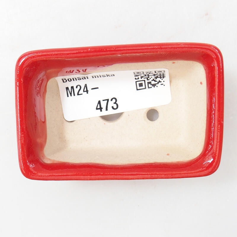 Mini bol bonsaï 6,5 x 4 x 2,5 cm, couleur rouge