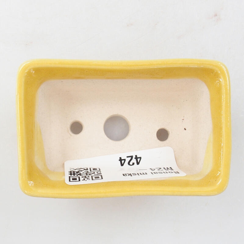 Mini bol bonsaï 6,5 x 4 x 2,5 cm, jaune