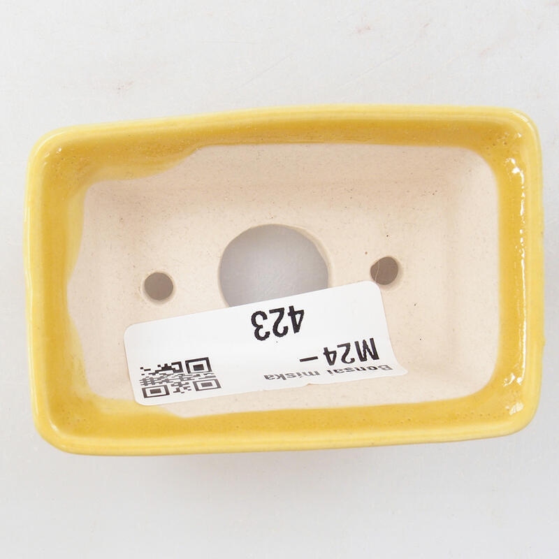 Mini bol bonsaï 6,5 x 4 x 2,5 cm, jaune