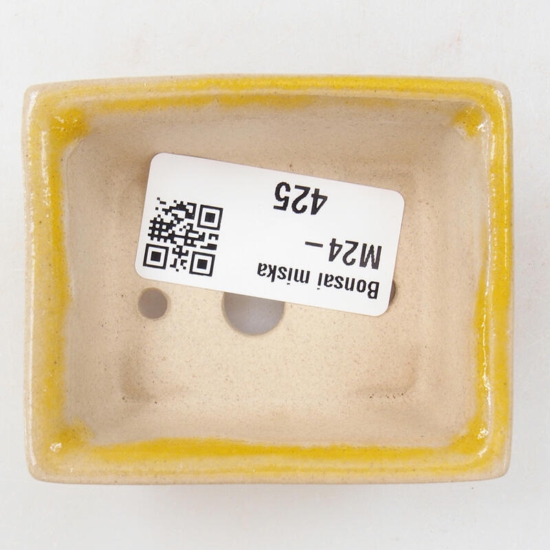 Mini bol bonsaï 6,5 x 5,5 x 2,5 cm, jaune