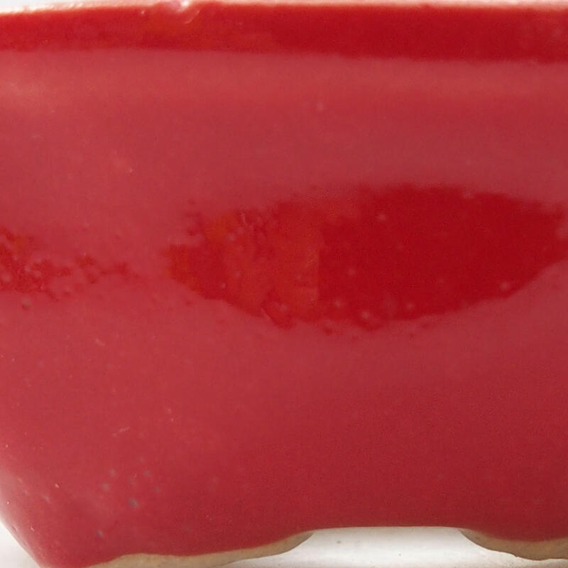 Mini bol bonsaï 6,5 x 6,5 x 2,5 cm, couleur rouge