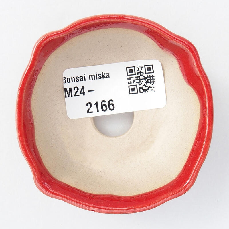 Mini bol bonsaï 6,5 x 6,5 x 2,5 cm, couleur rouge