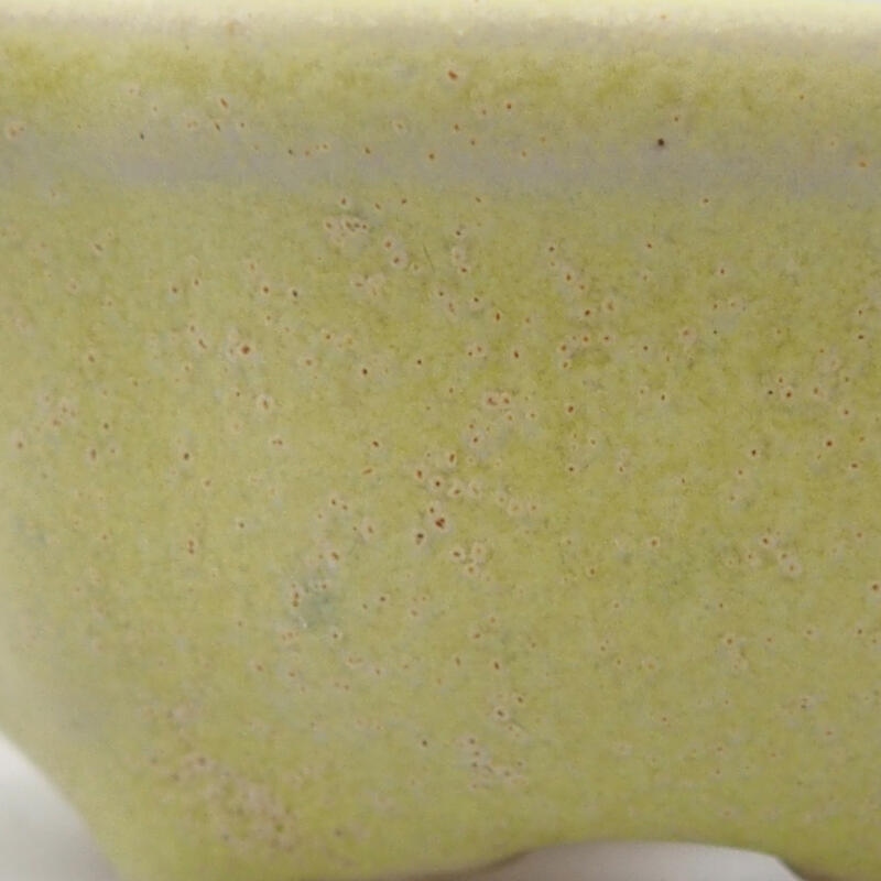 Mini bol bonsaï 6,5 x 6,5 x 2,5 cm, vert