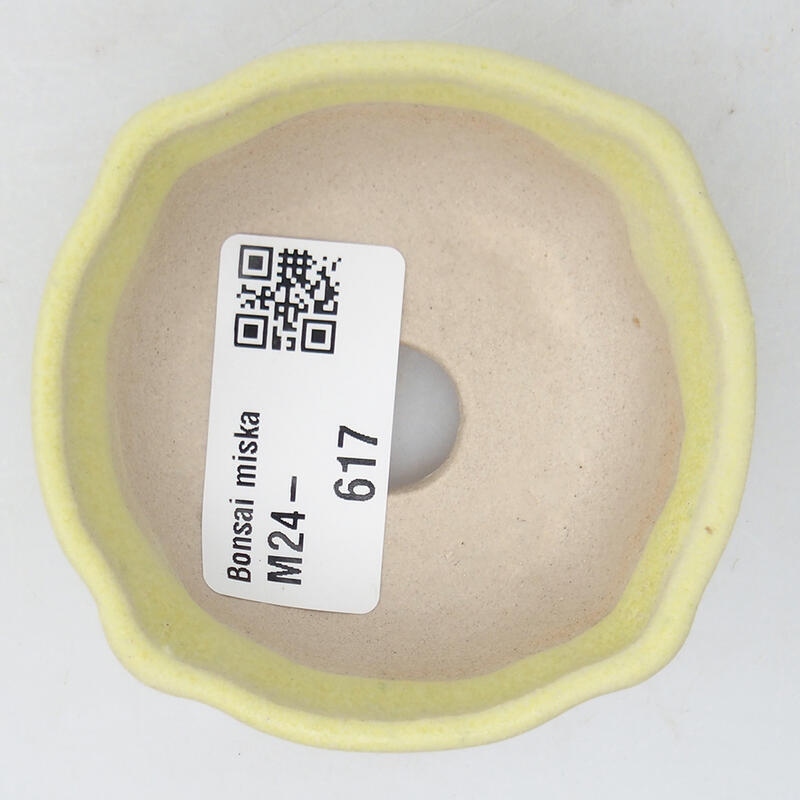 Mini bol bonsaï 6,5 x 6,5 x 2,5 cm, vert