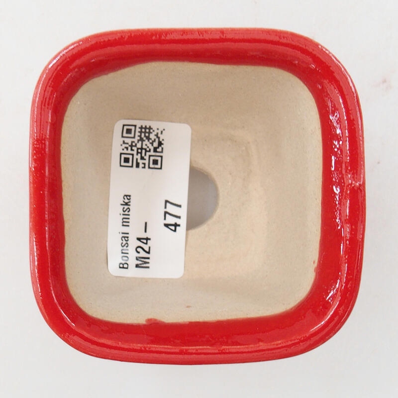 Mini bol bonsaï 6,5 x 6,5 x 4,5 cm, couleur rouge