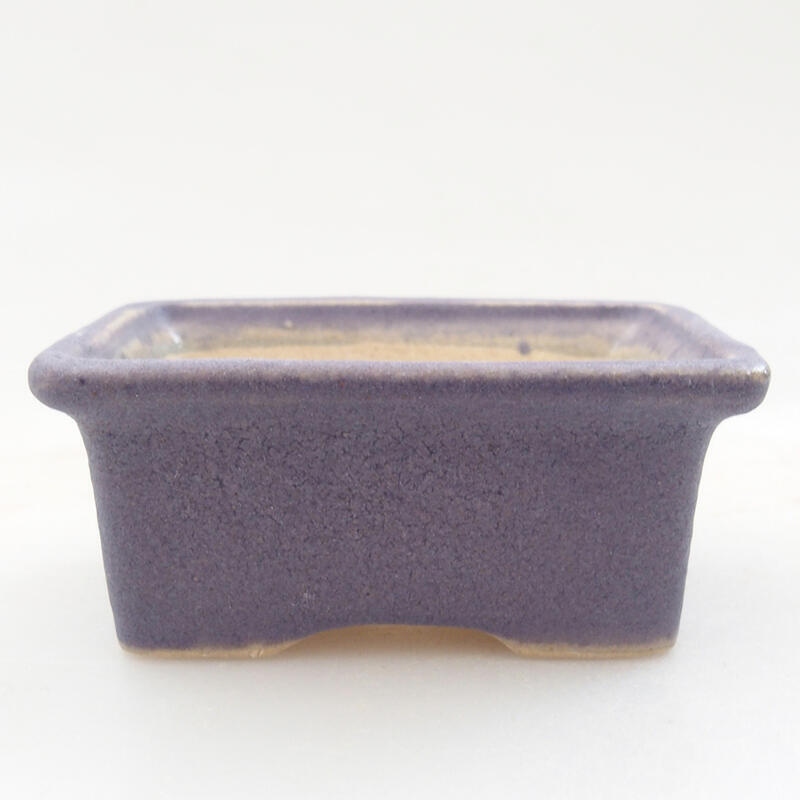 Mini bol bonsaï 6 x 4,5 x 2,5 cm, couleur violet