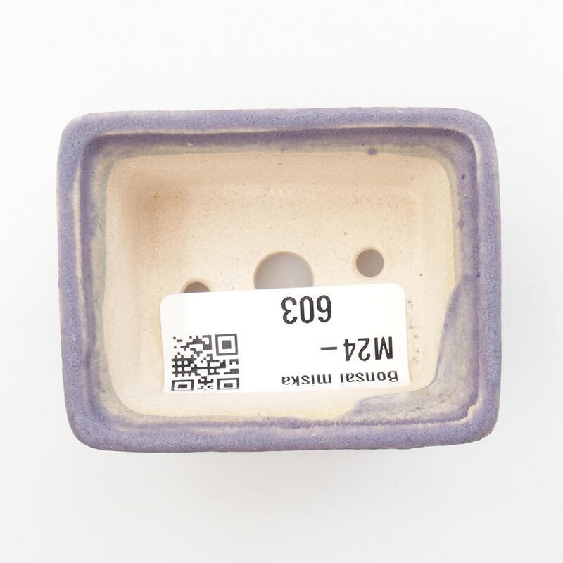 Mini bol bonsaï 6 x 4,5 x 2,5 cm, couleur violet