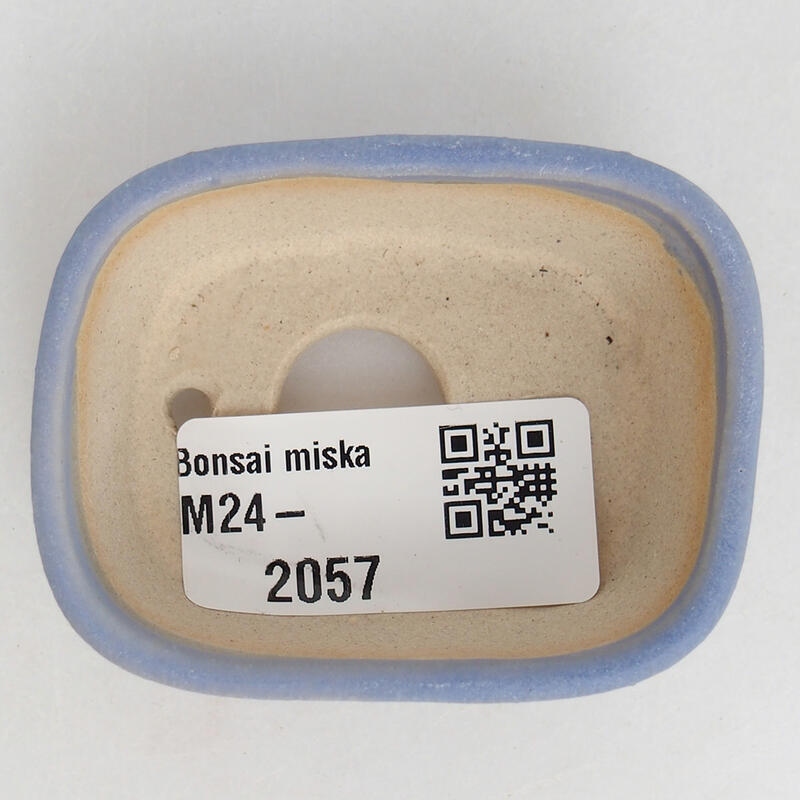Mini bol bonsaï 6 x 4,5 x 2,5 cm, couleur bleu